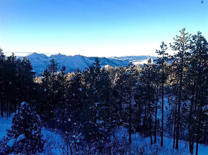 Southern view from deck.