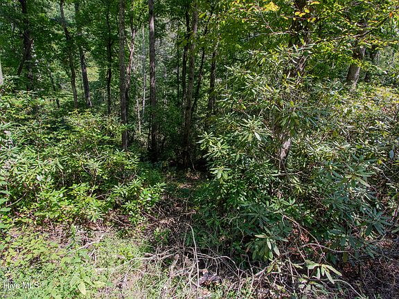 3rd image of 8 Snowbird Woods Road LOT 8