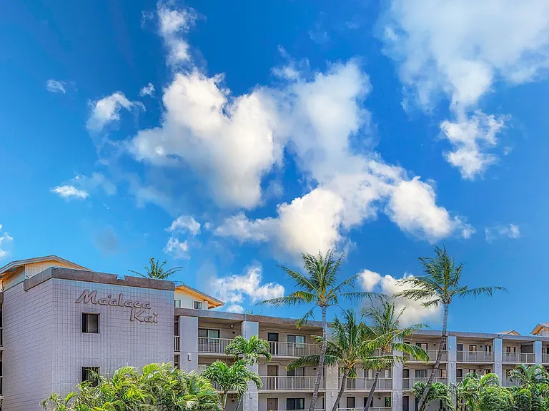 Hauoli St — Photo 45