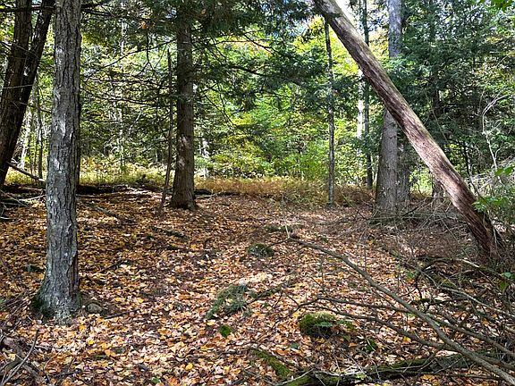2nd image of 0 Moore Hill Lot 1 Road