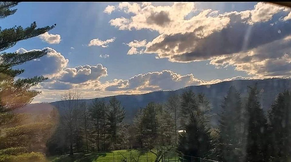 View from Master Bedroom