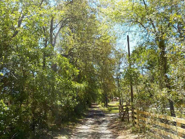 2nd image of 85 Walker Ln
