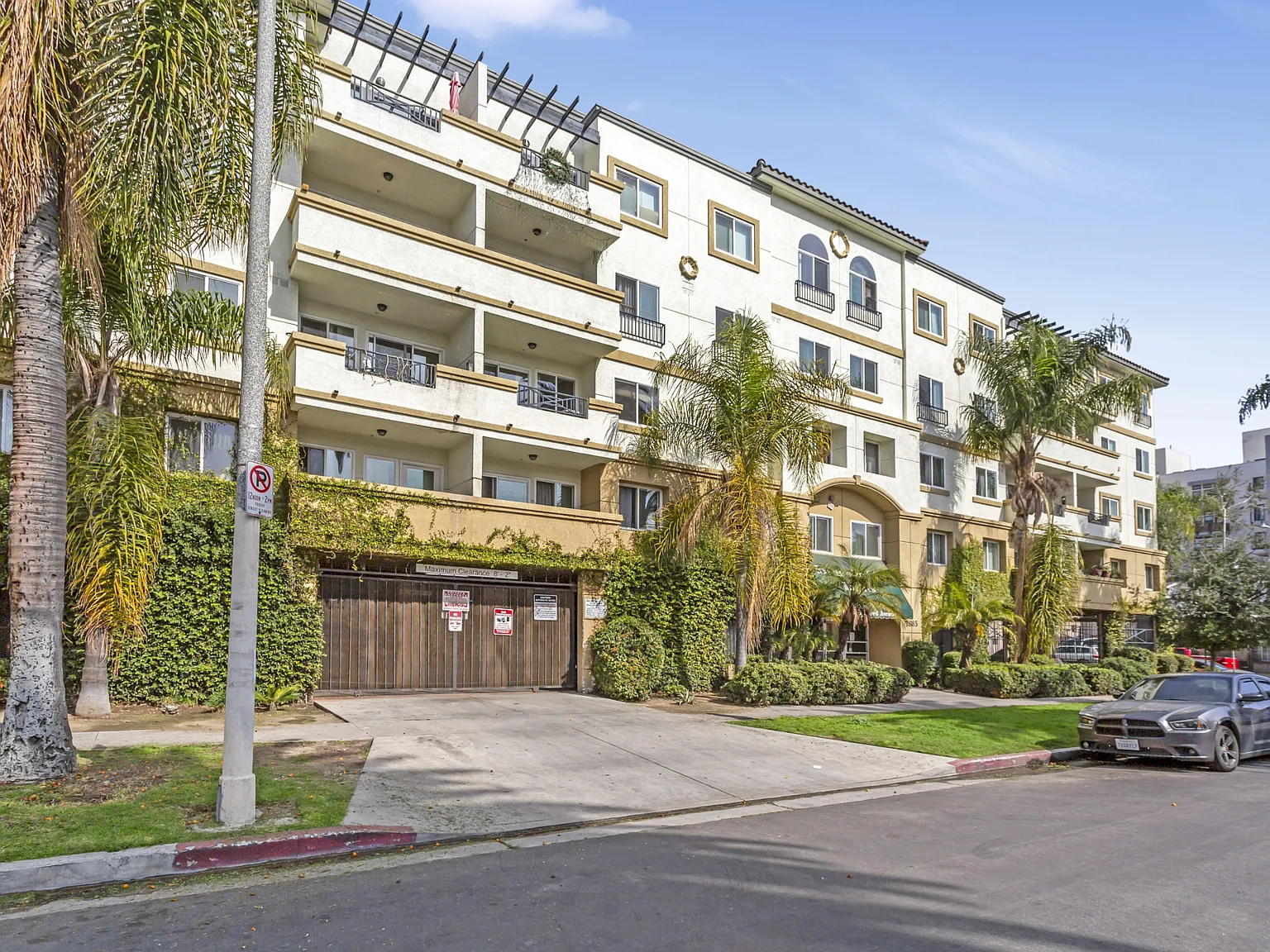 Magnolia City Lights Apartments — Photo 3