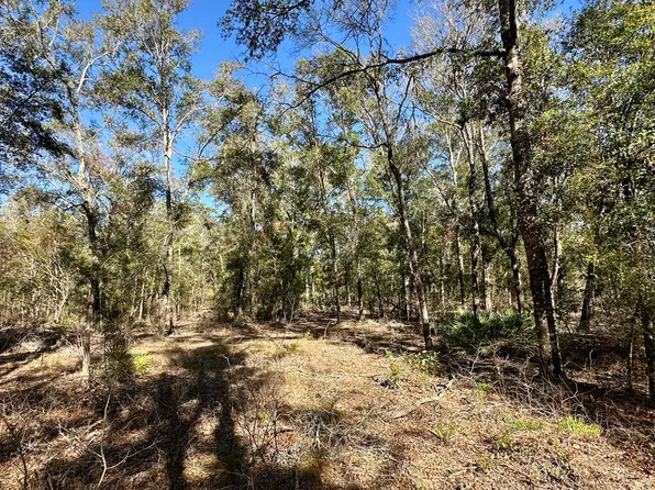 SW 70th Ave, Bell, FL 32619