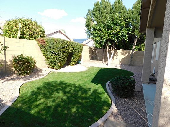 Backyard 1