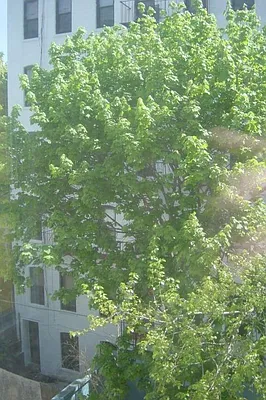 Rented by Location Location Location | media 15