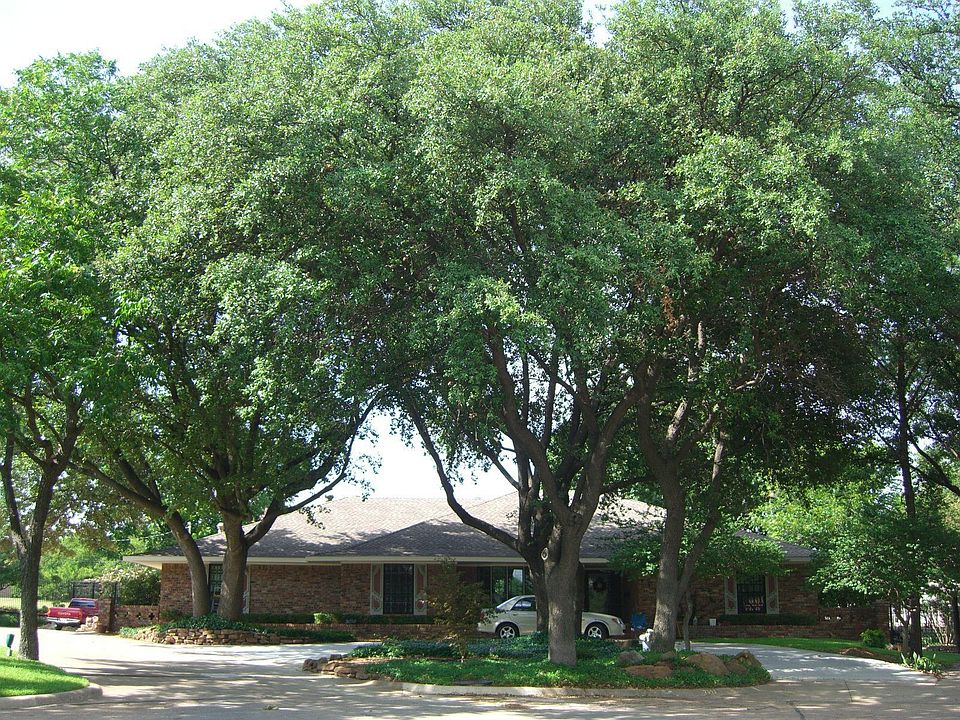 Lots of trees in the front.