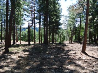 29 Ridge View Rd, Foresthill, CA 95631