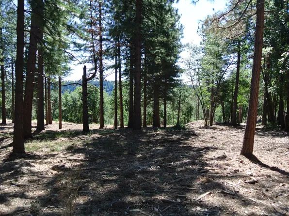 29 Ridge View Rd, Foresthill, CA 95631