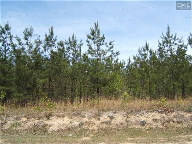 2nd image of 978 Robinson Town Rd