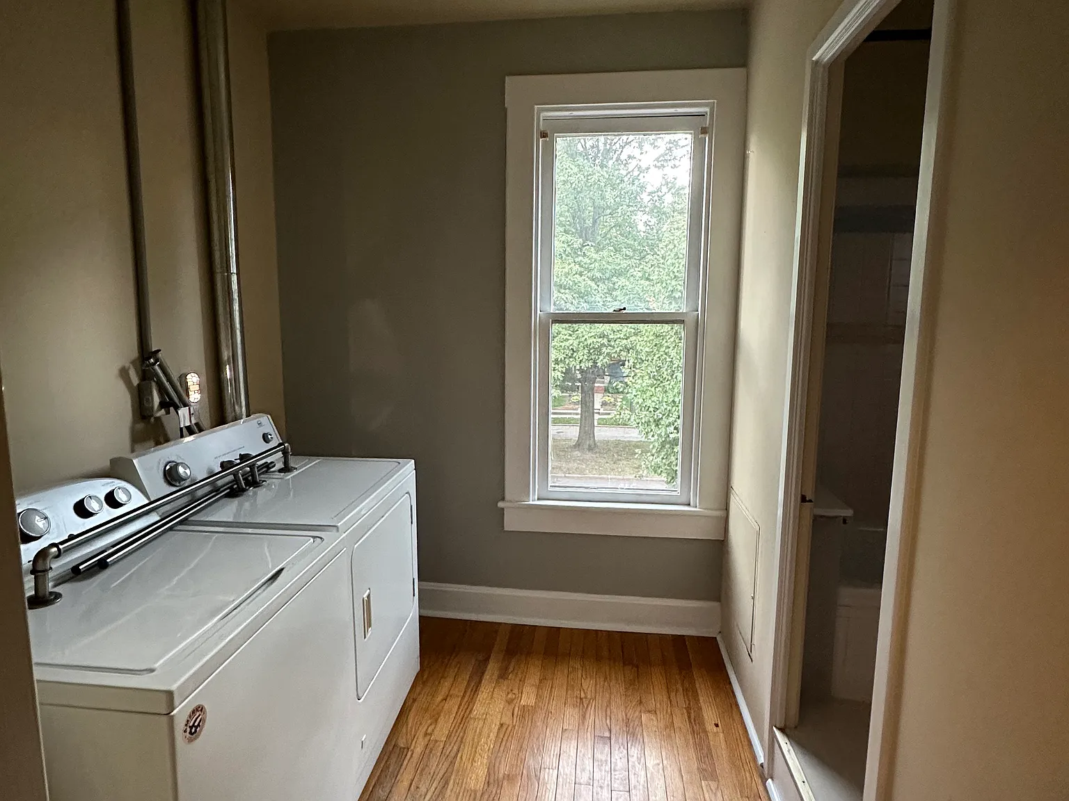 1 bed, 1000 sqft, $1,200 — Photo 3