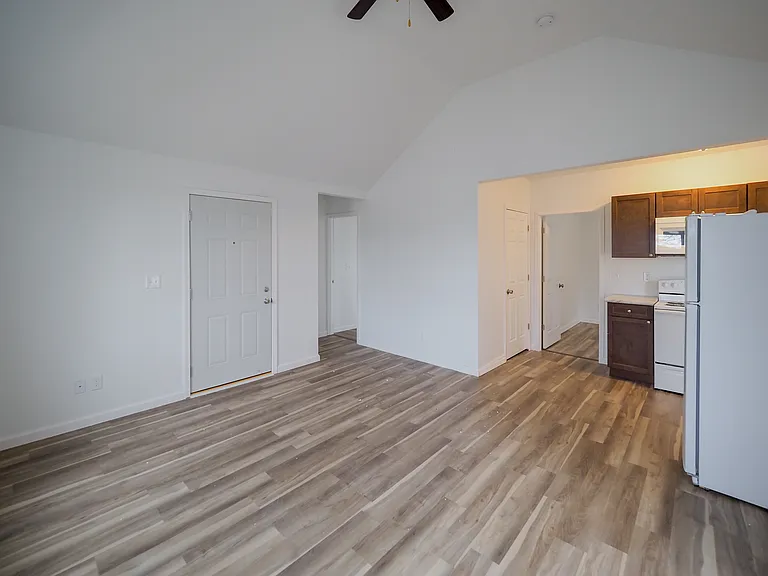 Living area/dining area/kitchen