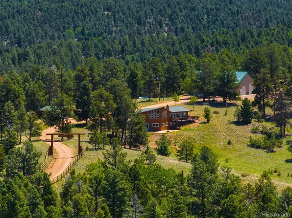 1400 Lower Twin Rocks Road, Florissant, CO 80816