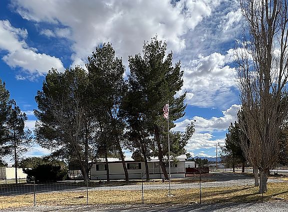 Trees right, dormant winter