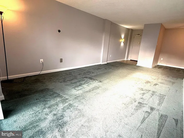 5300 Holmes Run Pkwy #819 — Photo 12