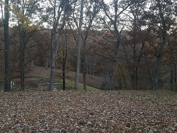 Front yard overlooking pond