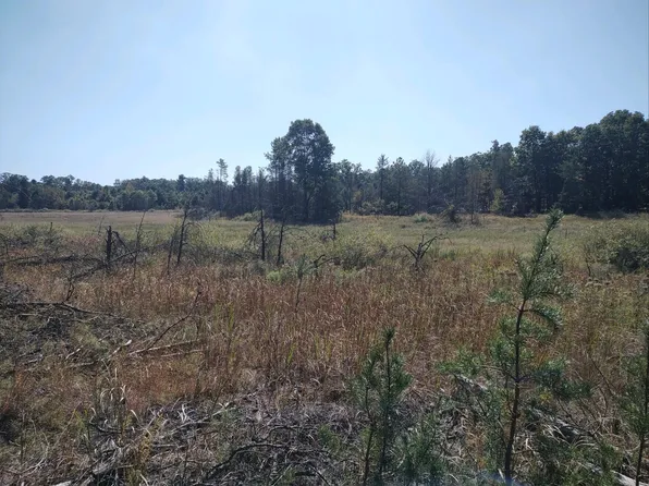 Dalson Rd, Holton, MI 49425