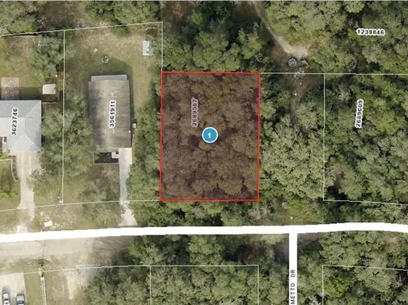 Palm St Lot 7, Lady Lake, FL 32159