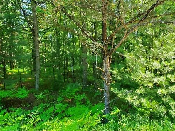 0 Hillside Dr, Alger, MI 48610