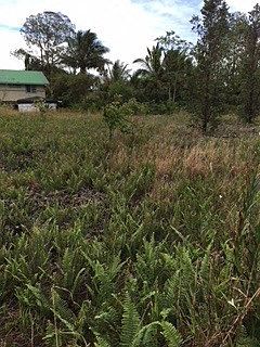 4th image of Kehauopuna St Lot 235