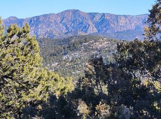 L Path #35, Cotopaxi, CO 81223