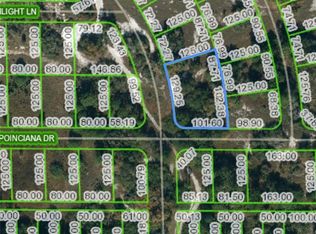 792 Rainwater Ave, Lake Placid, FL 33852