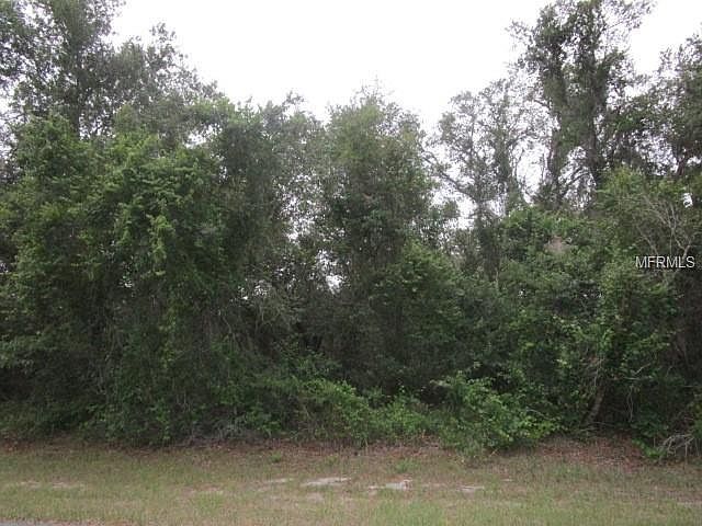 1st image of 435 Rainbow Ct