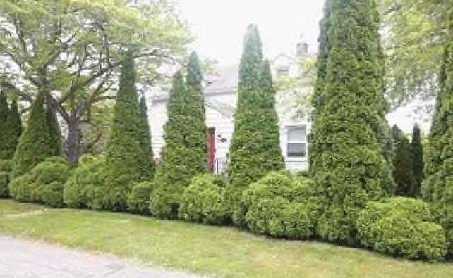 2nd image of 105 Mapledale Ave
