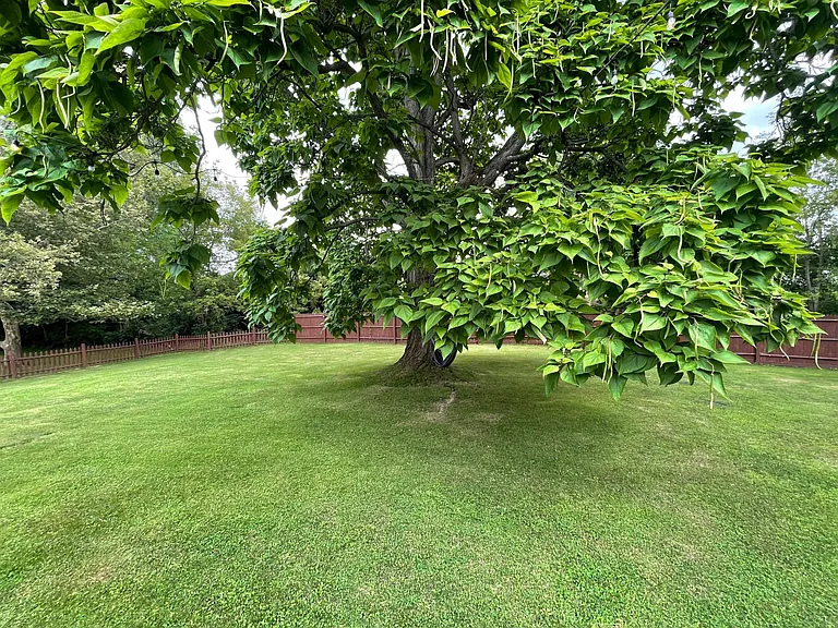 27 Pleasant View Dr — Photo 30