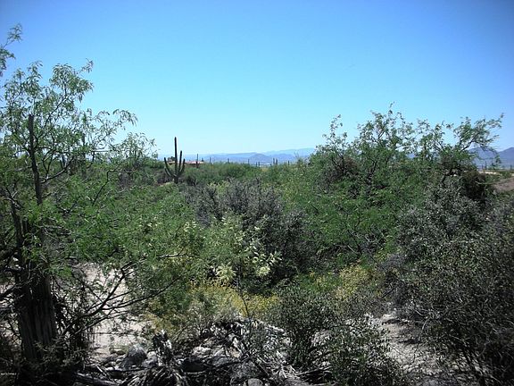 3rd image of 7791 N Ancient Indian Dr