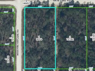 11184 Snow Lark Ave, Weeki Wachee, FL 34614