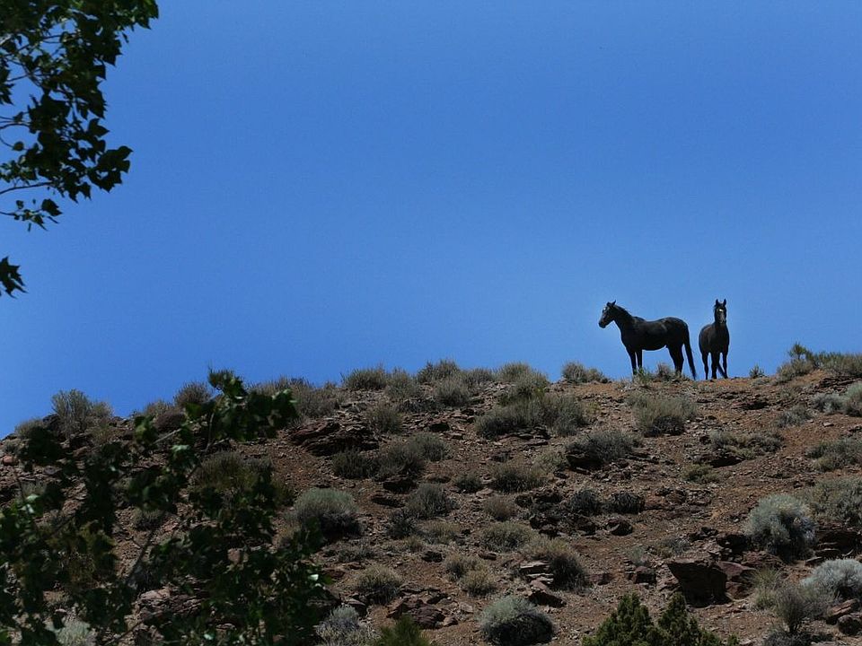 40+ acres of natural beauty