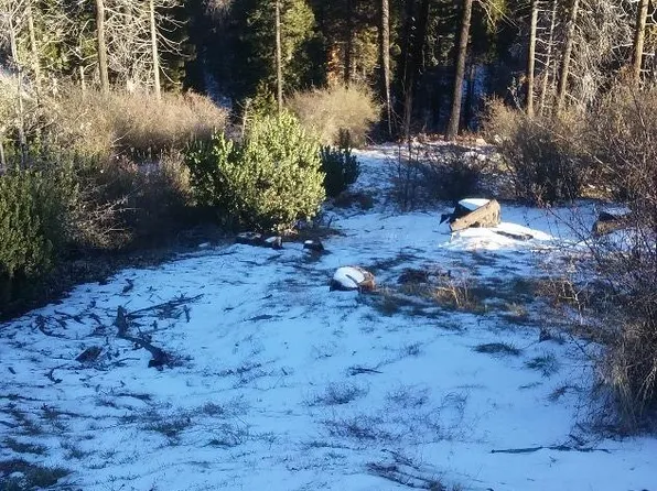 Brentwood Dr, Lake Arrowhead, CA 92352