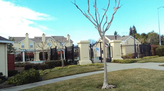 117 Brogan Ct