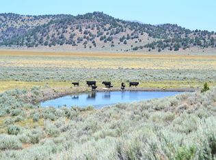 523-400 S Grasshopper Rd, Termo, CA 96132