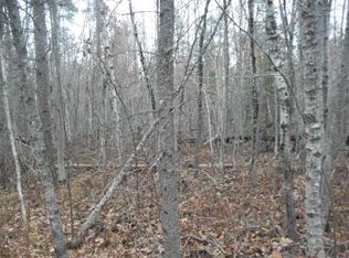 N Black Bear Rd, Alpena, MI 49707