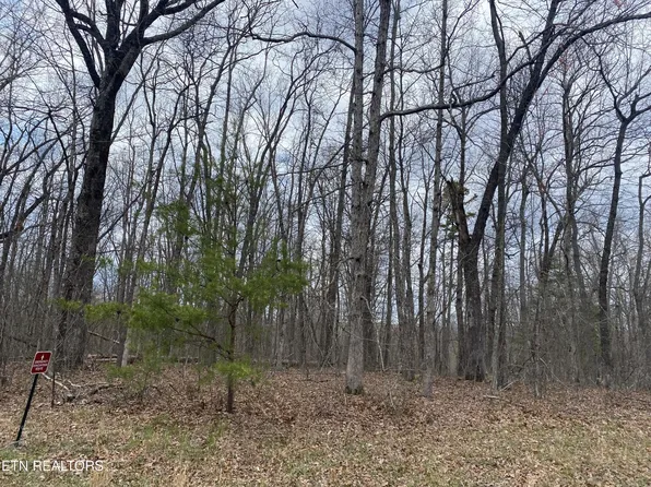 1116 Bow Rd Lot 3, Monterey, TN 38574