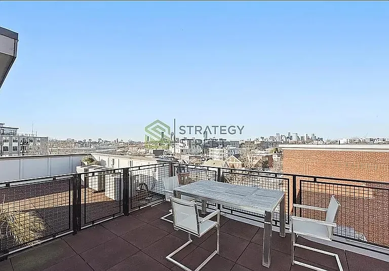 246 Boston St #1 — Photo 11