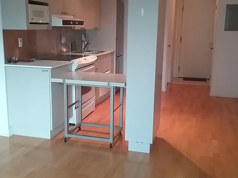 111 Elizabeth St — Photo 7