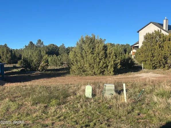 521 S Rock Creek Dr, Show Low, AZ 85901