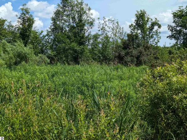 N/a Crosby Rd, Turner, MI 48765