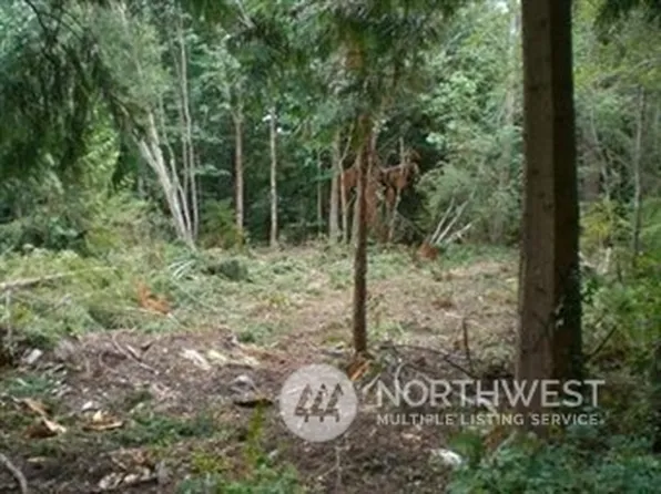 47 Lot Puget Loop, Port Ludlow, WA 98365