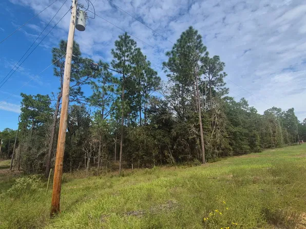 153 Hill Top Loop, Hawthorne, FL 32640