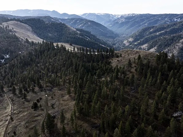 Map01n420 #Taxlot4907, Wallowa, OR 97885