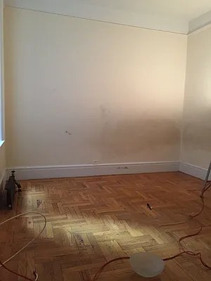 Rented by AJ Clarke | media 17