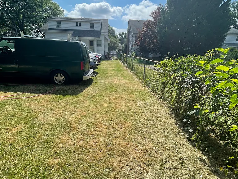 Picture from the far end of the backyard