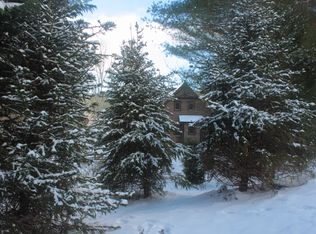 448 Twin Lakes Rd, Blue Ridge, GA 30513