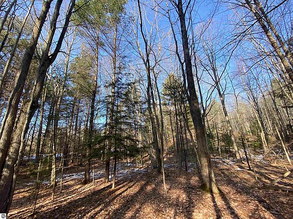 2nd image of LOT 45 Scenic Hills Dr