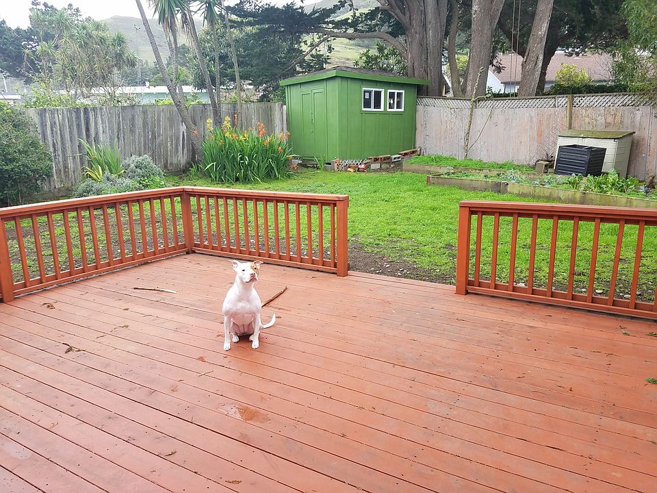 Back deck with storage shed