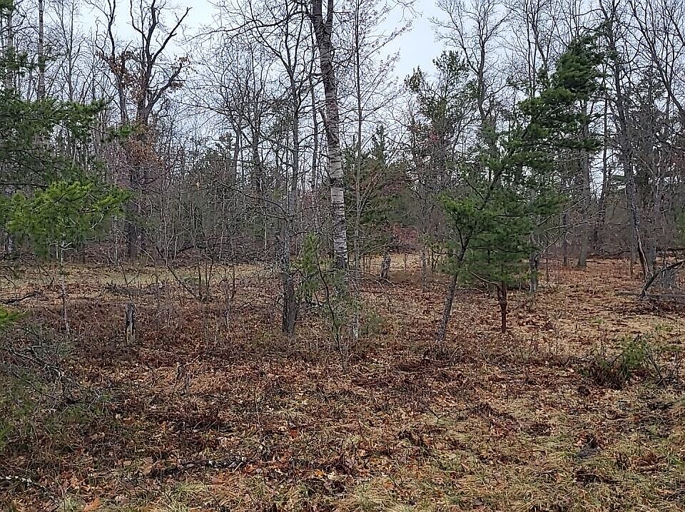 1st image of 4031 Diamond Dr